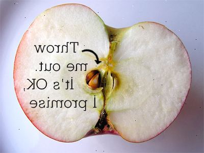 Hoe maak je een appelboom uit een zaadje groeit. Bewaar wat zaden wanneer je eet een appel of gewoon kopen wat uit de winkel.