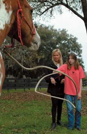 Hoe je je paard te leren om te stoppen met bijten