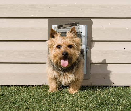 Hoe maak je een huisdier deur of hond de deur installeren. Huisdier deuren of hond deuren die monteren in de schuifdeur hordeur worden meestal geïnstalleerd in de linker of rechter bovenhoek van het scherm deur, afhankelijk van hoe uw terras deur opent.