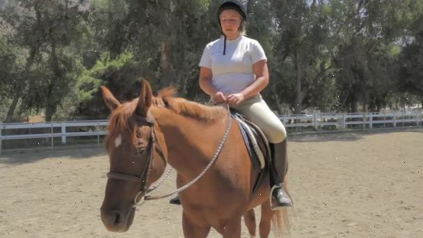 Hoe te controleren en sturen een paard met behulp van uw stoel en benen. Voordat je zelfs naar de stal, op een stoel zitten met je voeten op de grond, met een goede houding.