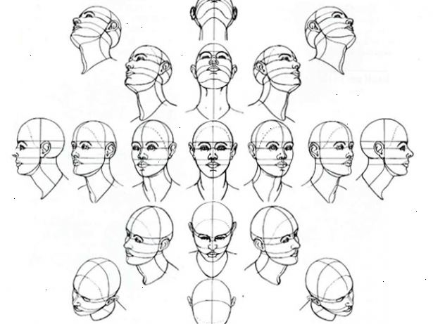 Hoe maak je een menselijk hoofd trekken. Begin met tekening drie ovale vormen, een grote en 2 kleinere aan de linker-en rechterzijde van de grote ovale.
