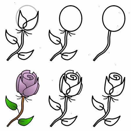 Hoe maak je een roos te tekenen. Lichtjes trek een verticale lijn als leidraad voor uw stuurpen.