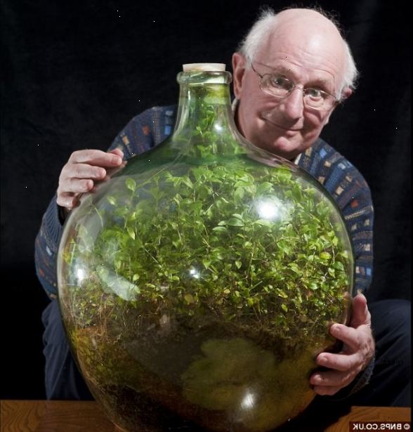 Hoe maak je een tuin groeien in een fles. Draai de fles op zijn kant.