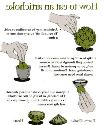 Hoe maak je een artisjok te eten
