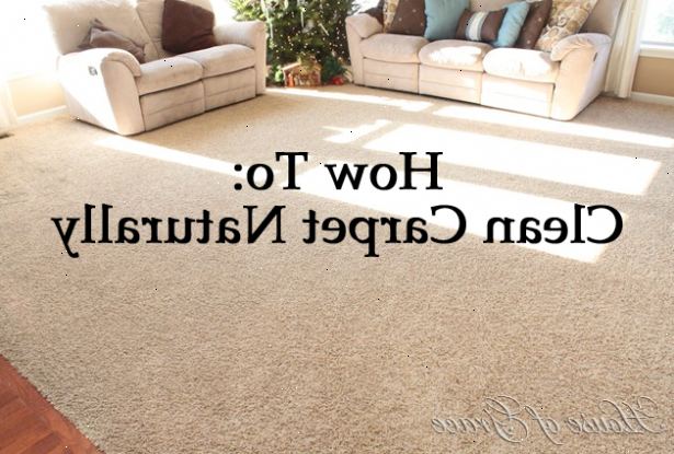 Hoe kunt u uw tapijten schoon. Meng wat poeder wasmiddel met wat water, gebruik uw gezond verstand met hoeveel je gaat mixen.