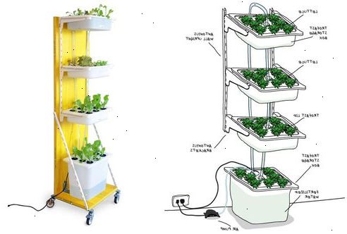 Hoe maak je een hydrocultuur tuin te bouwen. Bepaal wat je wilt groeien.