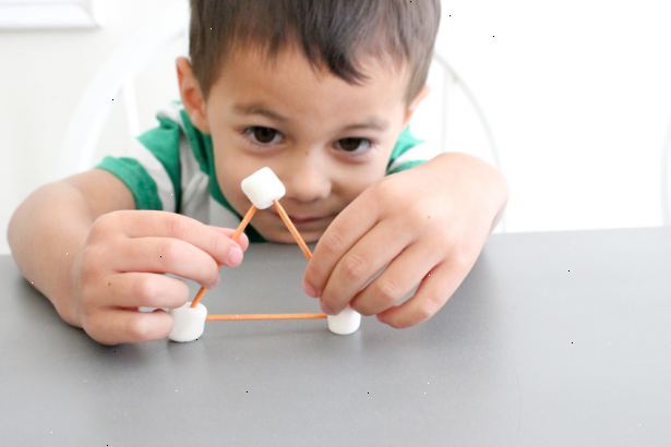 Hoe de marshmallow-test te geven. Stel uw kind in een gebied met een stoel, een tafel en een marshmallow.