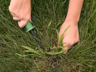 Hoe zich te ontdoen van crabgrass. Bij het ​​gebruik van herbiciden, moet u het etiket zorgvuldig te lezen.