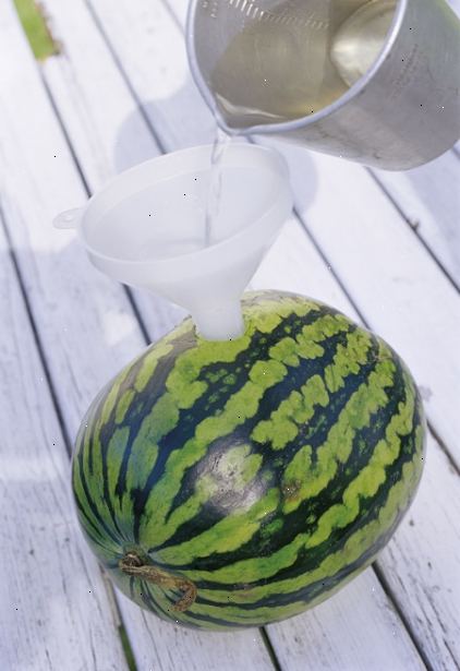 Hoe maak je een wodka watermeloen maken. Verkrijgen van de leveringen nodig.