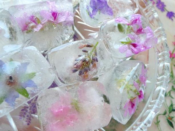 Hoe te bloeien ijsblokjes maken. Verzamelen en voorzichtig al uw pesticide-vrij bloesems spoelen.