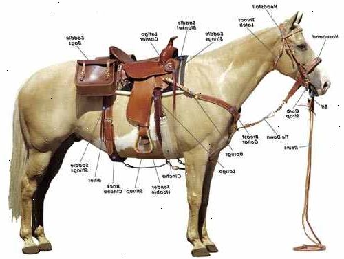 Hoe je overstag van een paard. Bind je paard met dwarsliggers, of als je moet, op een hitching post.