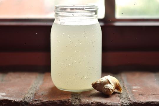 Hoe te ginger ale maken. Voeg 1 kopje suiker om een fles door een droog trechter.