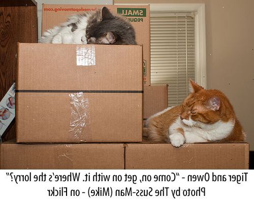Hoe te bewegen met een kat. Beperk uw kat in een kamer, terwijl je alles uitgezocht, bijvoorbeeld, verpakking, meubels verplaatsen, enz.