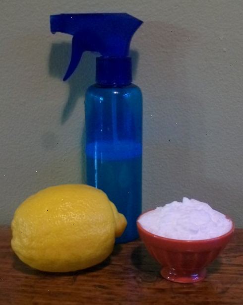 Hoe maak je een citroensap luchtverfrisser maken. Roer met een houten lepel te ontbinden.