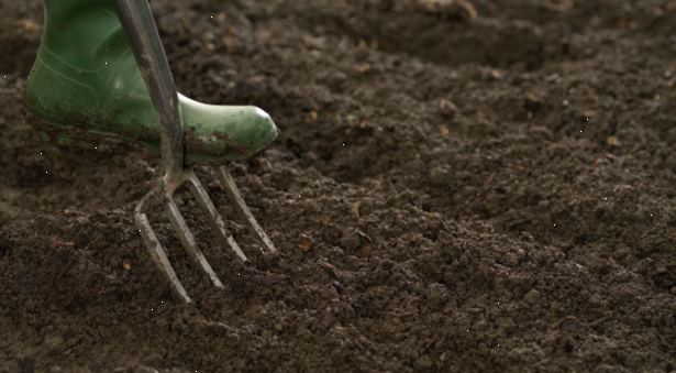 Hoe je grond voor te bereiden voor een tuin. Proef het bodemmateriaal.