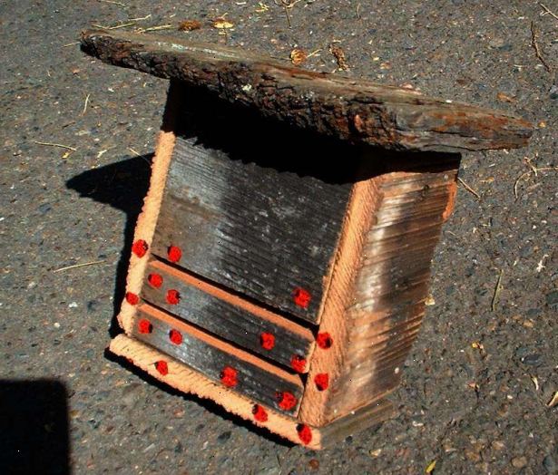 Hoe maak je een lieveheersbeestje huis te bouwen. Vind een stevig stuk karton in de vorm van een doos of vel.