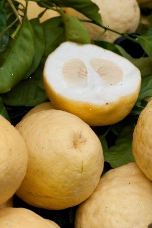 Hoe te citrusvruchten schillen gebruiken in de huis en tuin. Gebruik kumquat schil.