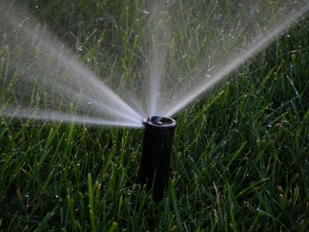Hoe om uw gazon efficiënt water te geven. Water alleen wanneer je het gras nodig heeft.
