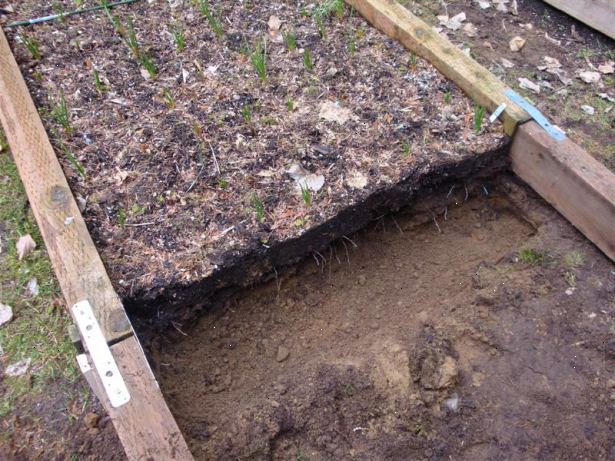 Hoe maak je dubbele graven een tuin. Verwijder de graszoden (indien aanwezig, of uitgesneden en flip-over in de bodem van de loopgraven die u maakt.
