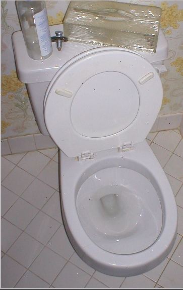 Hoe je metalen merktekens schoon uit een porseleinen wc. Schakel de watertoevoer naar het toilet, dan is de wc doorspoelen.