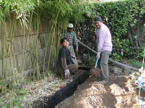 Hoe maak je een bamboe wortelstok barrière te installeren. Bepaal het oppervlak van de bamboe bevatten.