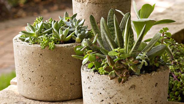 Hoe te hypertufa planters maken. Heb uw benodigdheden klaar, vooral de potten of mallen die je gaat gebruiken.