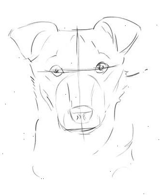 Hoe maak je een hond gezicht trekken. Teken een ronde vorm en twee flaporen.