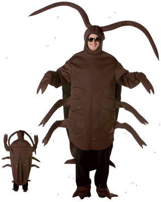 Hoe zich te ontdoen van kakkerlakken met borax